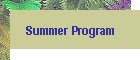 Summer Program